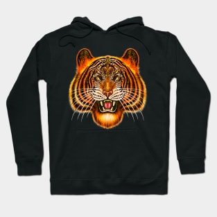 Tiger animal bengal tiger Siberian tiger big cat wild cat Hoodie